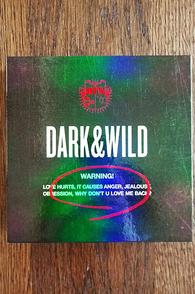 O!RUL8,2? ALBUM COVER